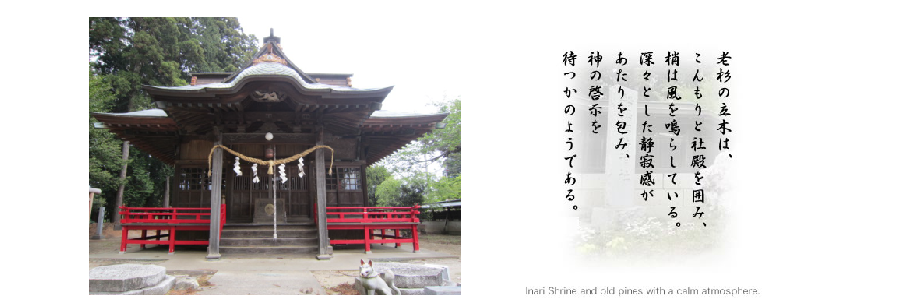 東海村観光協会公式サイト Tokai sightseeing guide