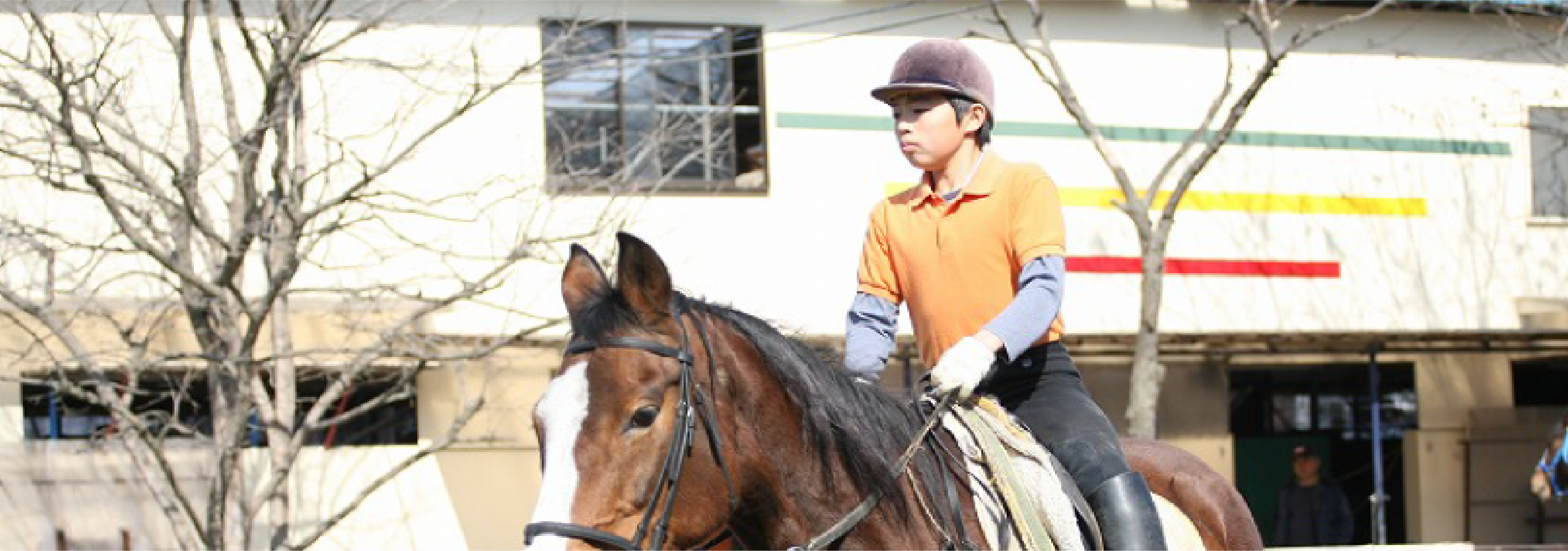 東海村観光協会公式サイト Tokai sightseeing guide