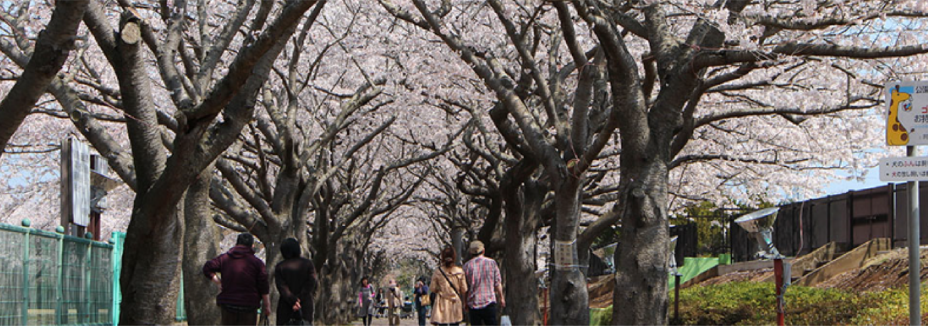 東海村観光協会公式サイト Tokai sightseeing guide