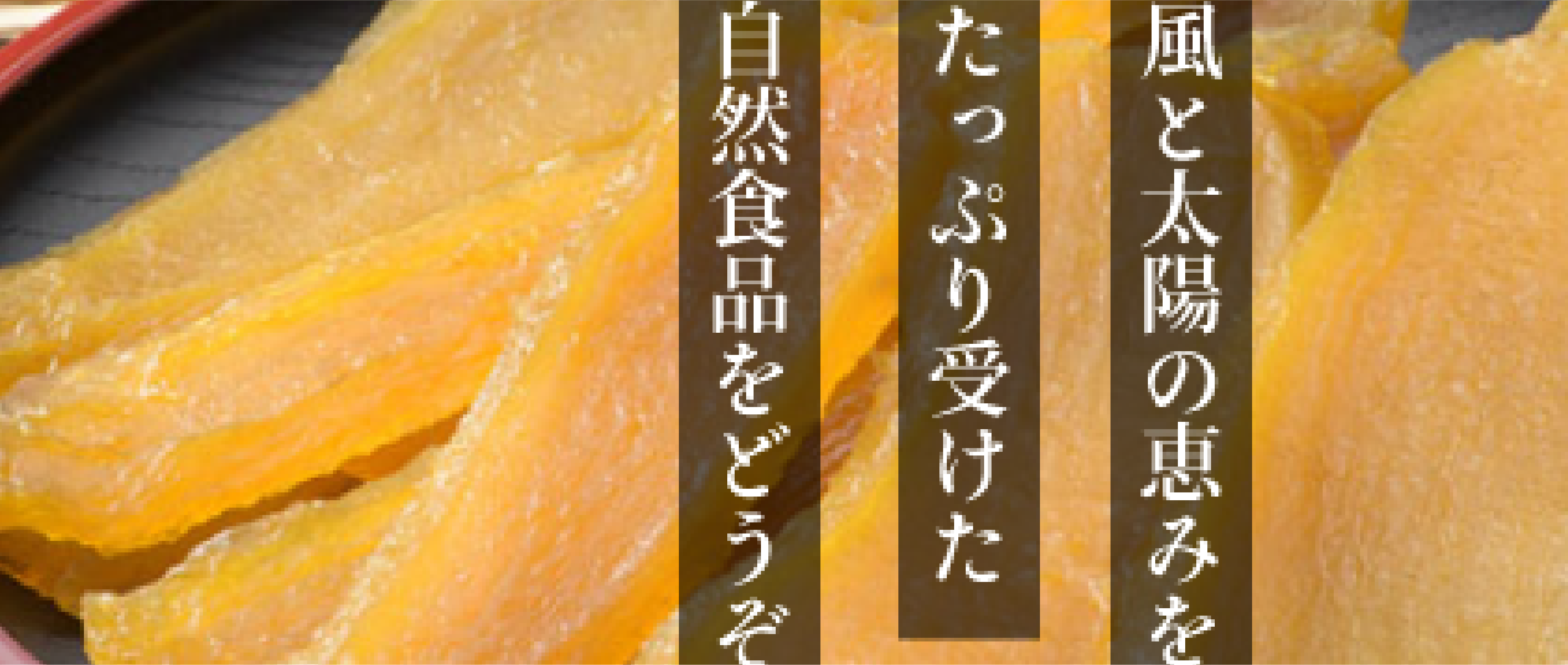 東海村観光協会公式サイト Tokai sightseeing guide