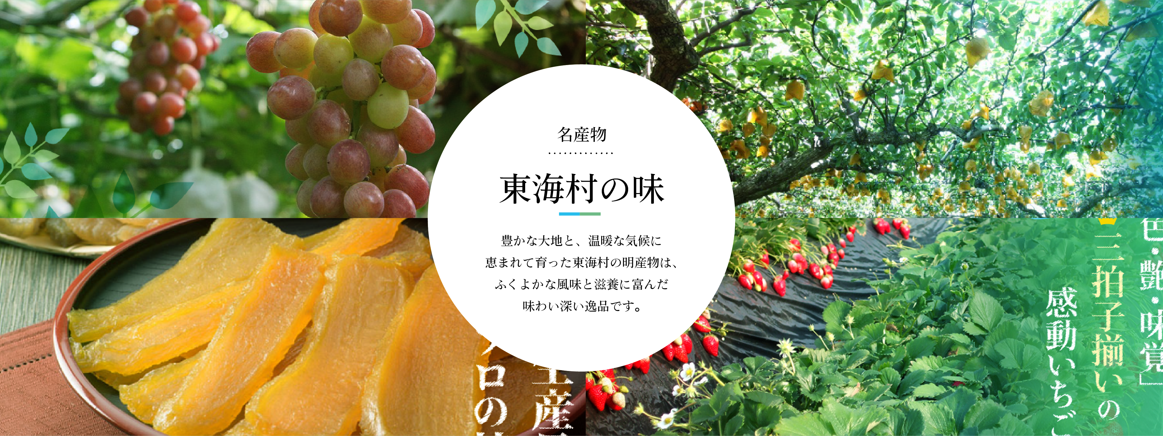 東海村観光協会公式サイト Tokai sightseeing guide