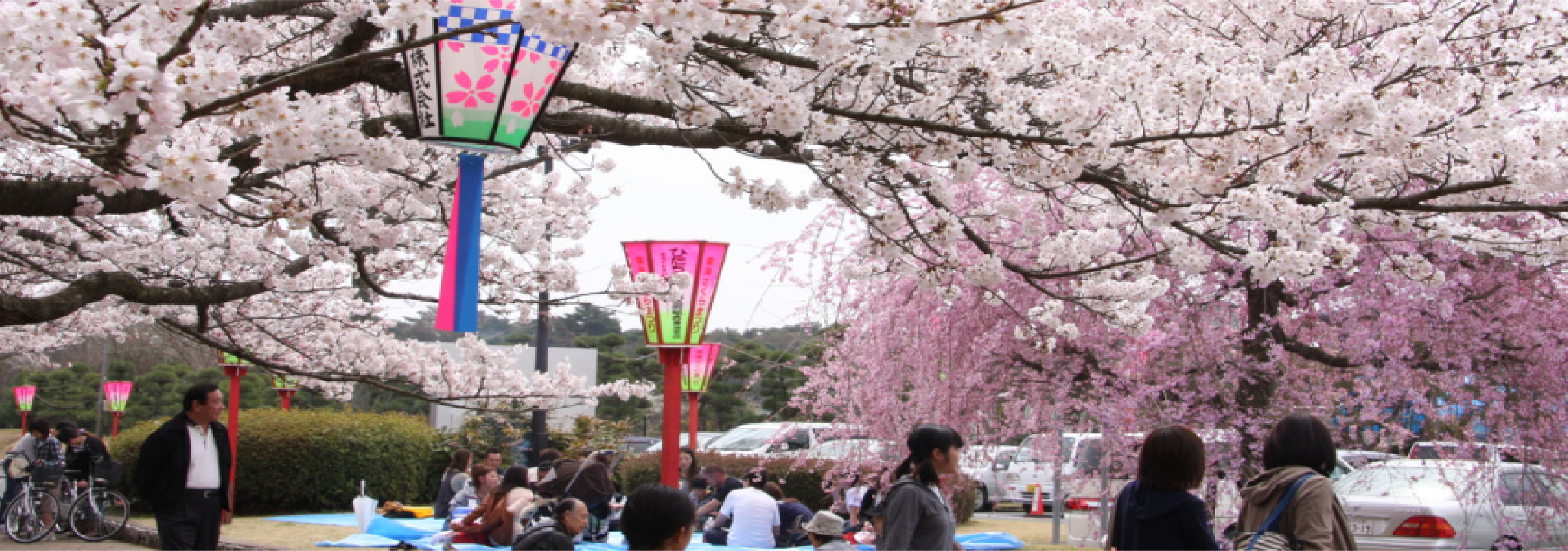 東海村観光協会公式サイト Tokai sightseeing guide